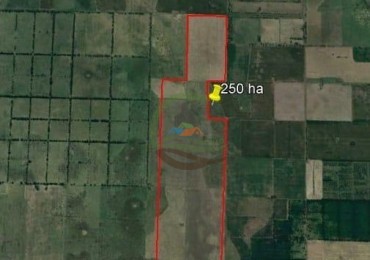 250 Ha Agricolas - Roberts - Lincoln