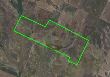285 Ha Mixto - Naposta - Bahia Blanca
