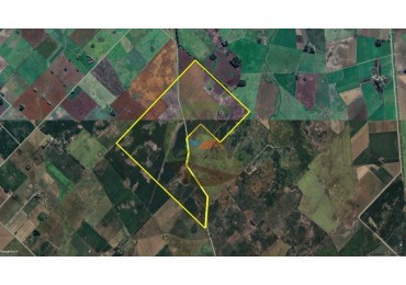 431 Ha Agricolas - De la Canal - Tandil