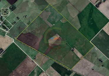 248 Ha Agricolas - Tedin Uriburu - Benito Juarez