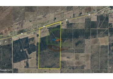 1006 Ha Mixto - Gral Acha - La Pampa