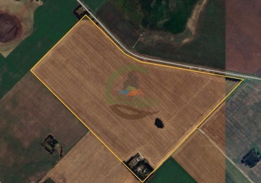 144 Ha Agricolas - Necochea
