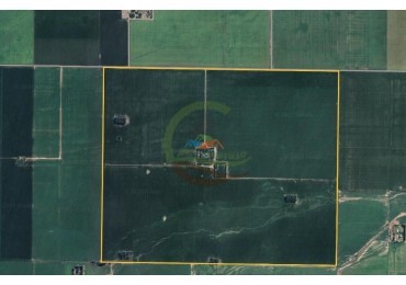 550 Ha Agricolas - Colonia Almada - Cordoba. 