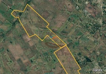 1335 Ha Agricolas - Torres - Lujan