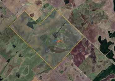 180 ha Mixto - Morea - 9 de Julio