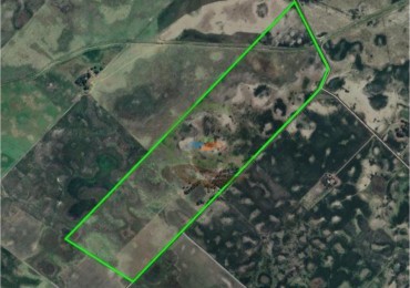 114 Ha Mixto - La Delfina - General Viamonte