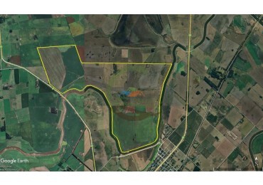 1104 Ha Agricolas - San Miguel del Monte