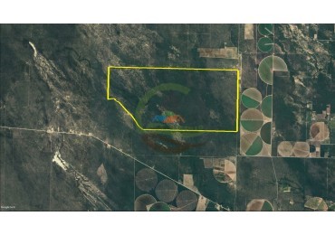 1856 Ha Ganadero - Villa Dolores - Cordoba