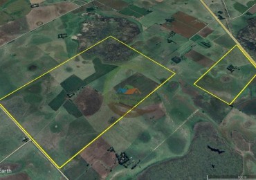 401 Ha Mixto - Lezama