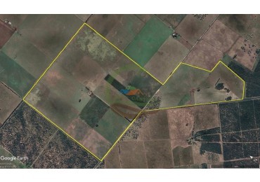 521 Ha Mixto - Toay - La Pampa