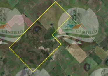 490 Ha Mixto - Laprida - Paraguil
