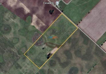 18 Ha Mixto - Las Flores