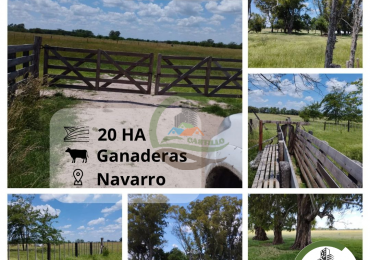 20 ha ganaderas - navarro
