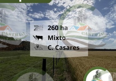 260 Ha Mixto - Santo Tomas - Carlos Casares - Alquiler