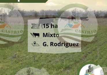 15 Ha Mixtas - Gral Rodriguez