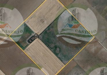 100 Ha Agricolas - Carhue - Alquiler