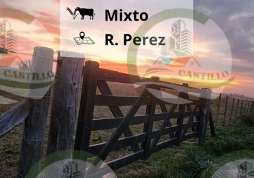 4,5 ha Mixta - Roque Perez