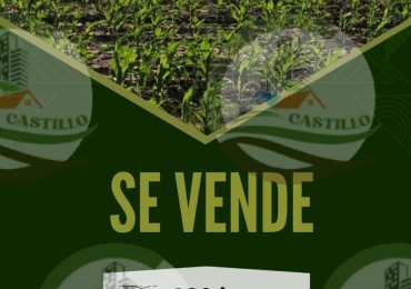 230 ha agricola - Labulaye
