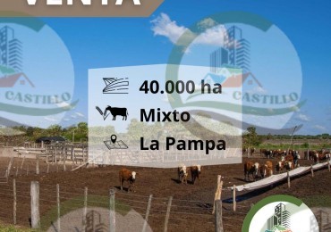 42500 ha mixto - La Pampa