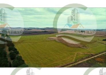 1007 Ha Agricolas - Tandil