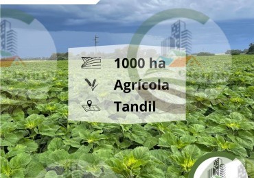 1007 Ha Agricolas - Tandil