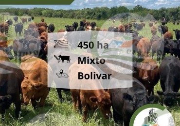 450 Ha Mixto - Bolivar