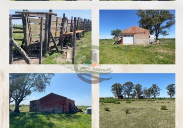 331 ha mixto - carlos tejedor