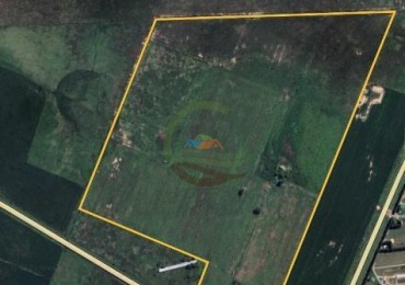 94 Ha Mixto- Piñeiro - Santa Fe