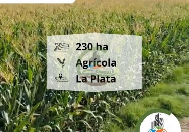 232 Ha Agricolas - Varela