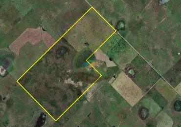 491 Ha Mixto - Paraguil - Laprida