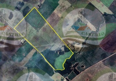 80 Ha Mixta - Balcarce