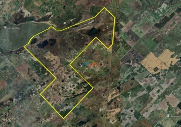 1698 ha Mixto - Paula - Bolivar