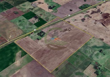 116 ha Agricolas - Saladillo