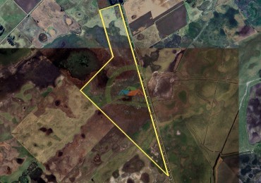 117 Ha Ganadero - Vallimanca - Bolivar
