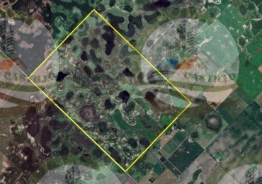 260 ha Ganadero - Carlos Casares - Hortensia