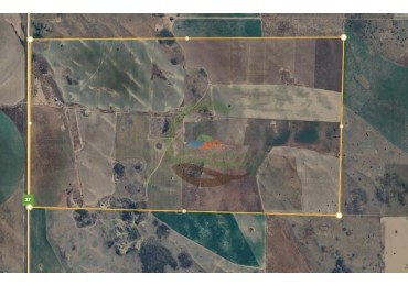 500 Ha Mixtas - Gobernador Dupuy - San Luis