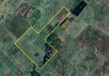 430 Ha Mixto - Las Flores - Estrugamou