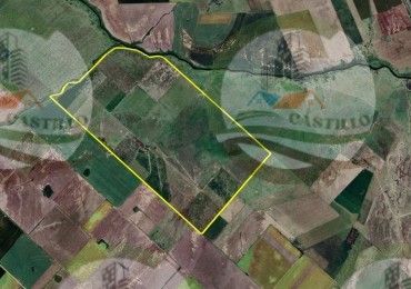 303 Ha Mixto - Cepeda - Santa Fe