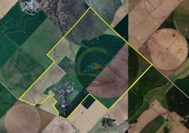 2057 Ha Mixto - Loberia