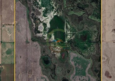 350 Ha Mixtas - Coronel Hilario Lagos - La Pampa