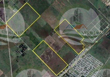 250 Ha Agricolas - Olavarria - Loma Negra