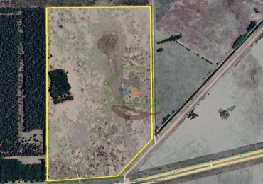 36 ha Mixta - San Vicente