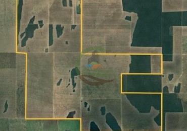 3750 Ha Agricolas - Tobas - Santiago del Estero