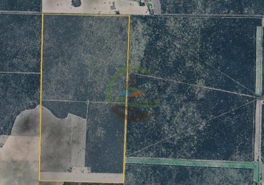 485 ha Mixto - Rucanelo - La Pampa