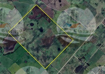 300 ha Mixto - Ayacucho