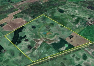 178 Ha Mixto - Hale - Bolivar