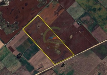 69 Ha Agricola - Daireaux