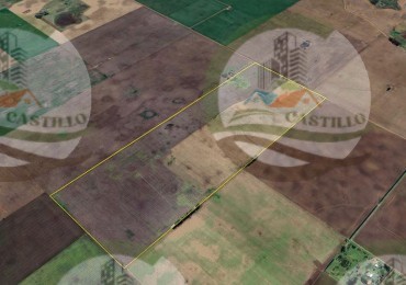 140 Ha Agricolas - Bragado