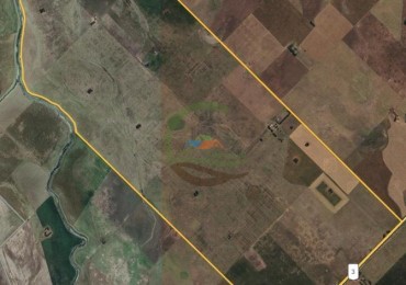 1003 Ha Mixtas - Tres Arroyos