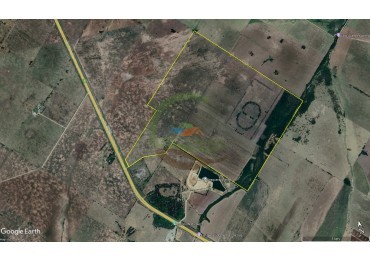 318 Ha Mixto - Gral Rodriguez